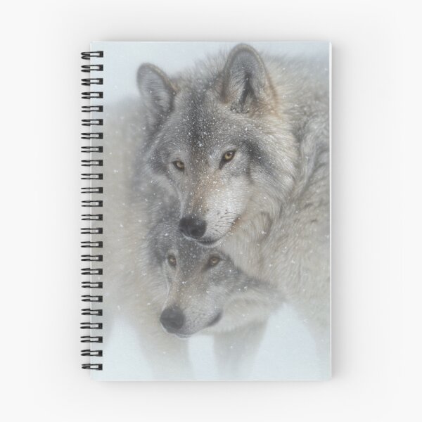 Aperçu de l'œuvre Dévotion sauvage - Loups gris créée et vendue par Collin Bogle.