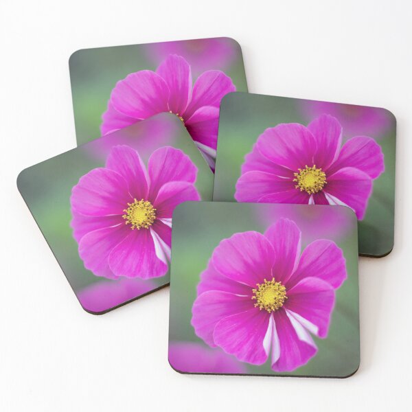 Item preview, Cosmos Flowering, designed and sold by John Ray.