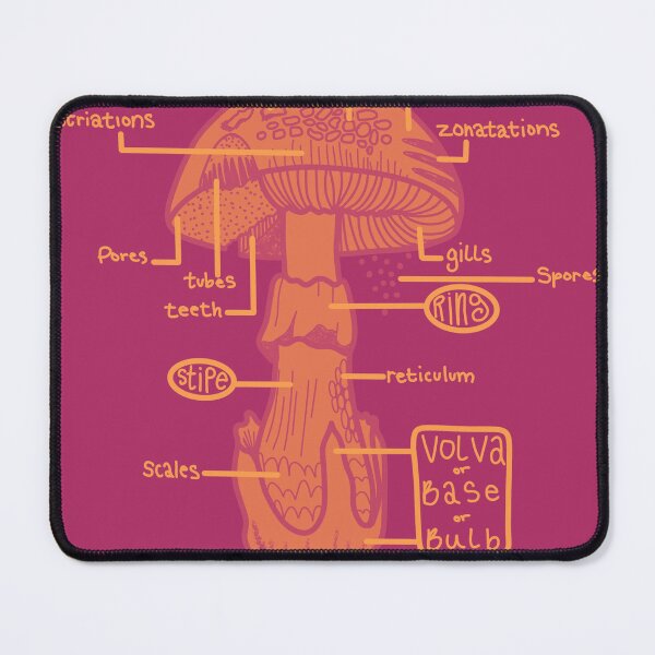 Item preview, Mushroom diagram designed and sold by angelfatale.