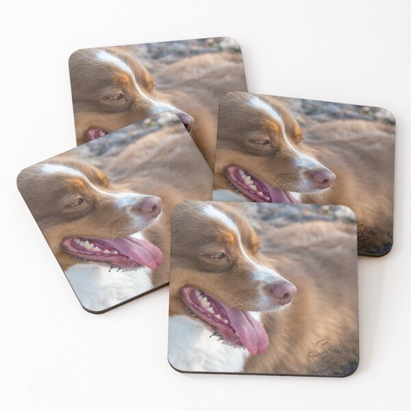 Item preview, At the Dog Park designed and sold by DShaverPhotos.