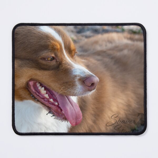 Item preview, At the Dog Park designed and sold by DShaverPhotos.