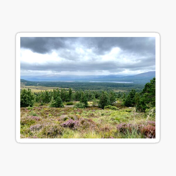 Item preview, Cairngorms National Park Scotland designed and sold by BlueBearDesigns.