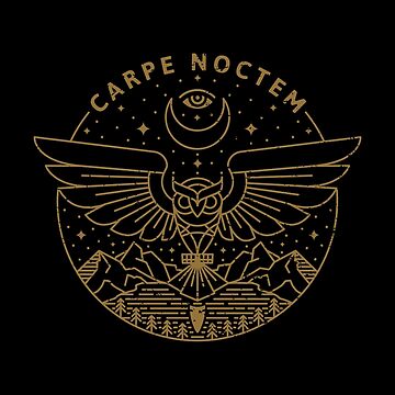Vorschaubild zum Design Carpe Noctem von rfad
