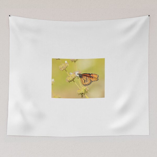Item preview, Soldier Butterfly On Flower designed and sold by Eleu Tabares.