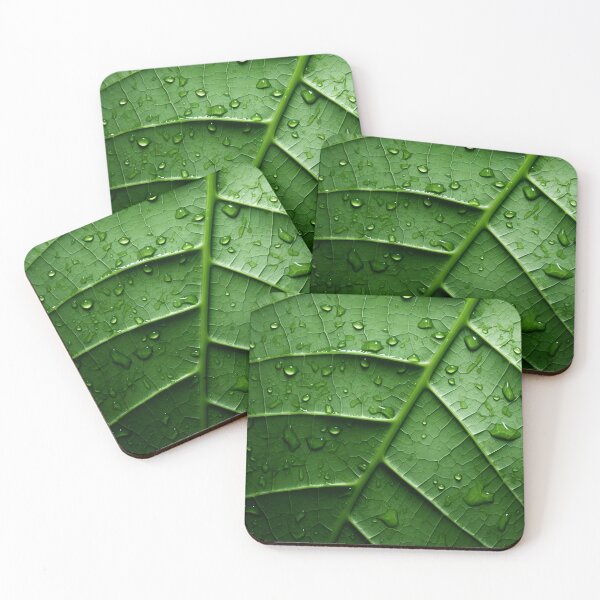 Item preview, Stunning green leaf macro photography art print designed and sold by dcrc.