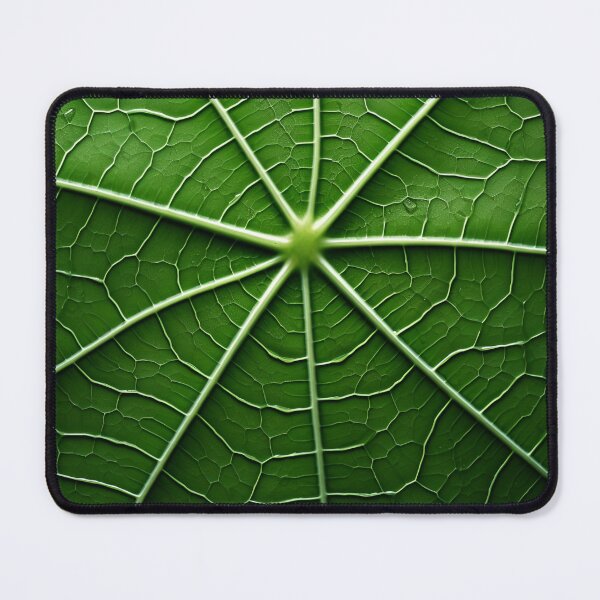 Item preview, stunning green leaf macro photography art print designed and sold by dcrc.