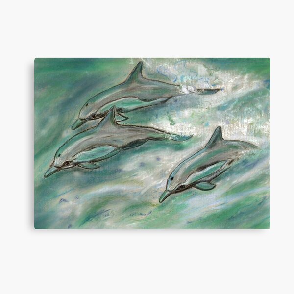 Dolphin trio Canvas Print
