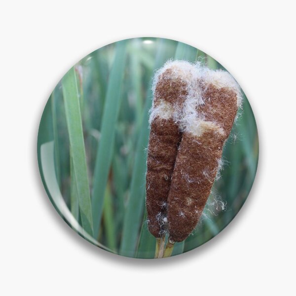 Item preview, Two cattails designed and sold by lex  Colston.