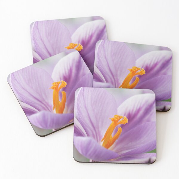 Item preview, Crocus  'Spring Beauty'  designed and sold by Chris Burrows.