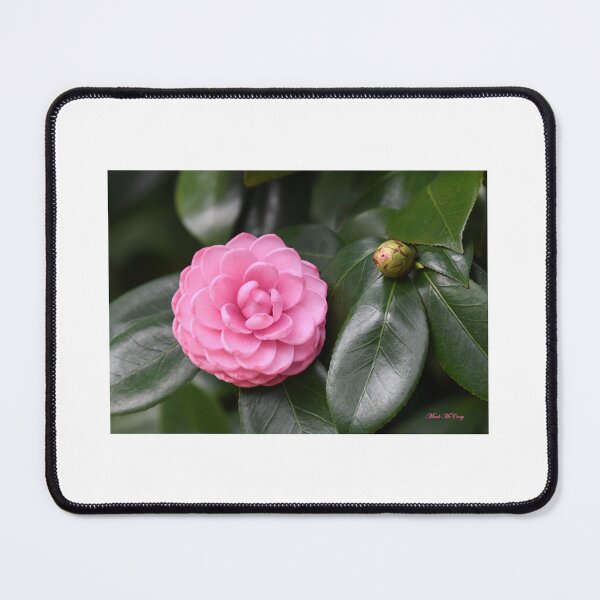 Item preview, Camelia designed and sold by CloserToTheArt.