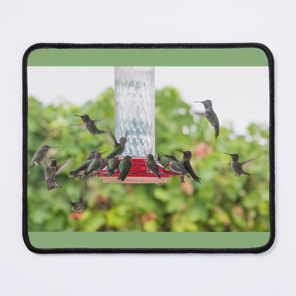 Item preview, Hummingbirds Fattening Up for Migration designed and sold by CarolM.