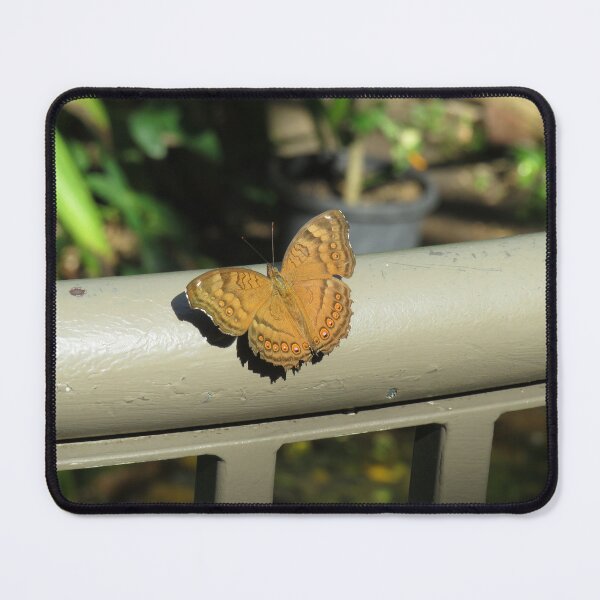 Item preview, Chocolate argus butterfly on a handrail designed and sold by greentiger1.