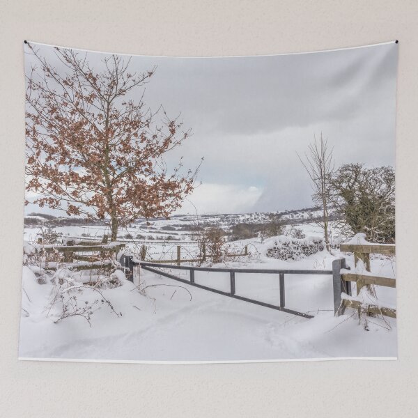 Aperçu de l'œuvre Nuages de neige créée et vendue par HaleyRedshaw.