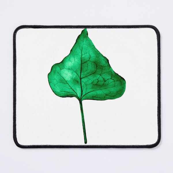 Item preview, Single Ivy Leaf Isolated designed and sold by Aithlin123.
