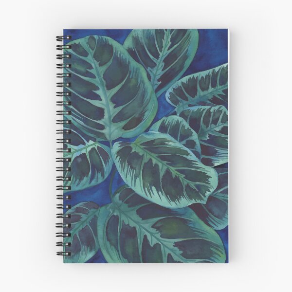 Item preview, Maranta plant designed and sold by Ana Moguš.