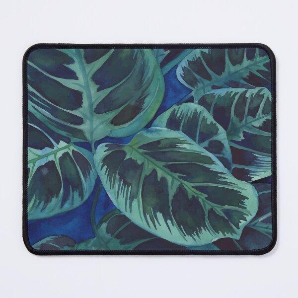 Item preview, Maranta plant designed and sold by Ana Moguš.