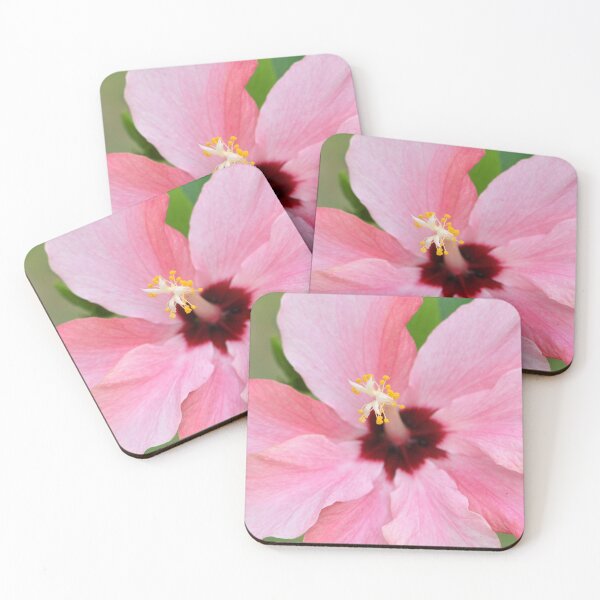 Item preview, Pink and Red Chinese Hibiscus Flower top view designed and sold by IPPhotography.