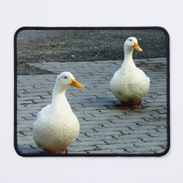 Item preview, The Wise Quack designed and sold by moodboardzz.