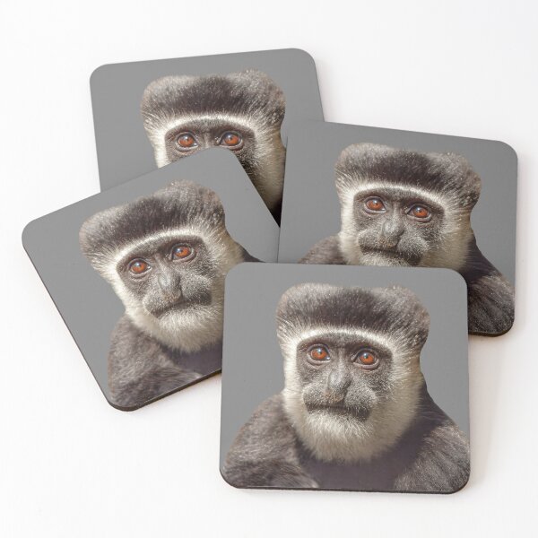 Item preview, The wonderful eyes of a Colobus monkey designed and sold by Dalyndigital Photography.