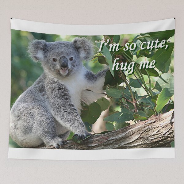 Item preview, Koala: I'm so cute, hug me designed and sold by FranWest.