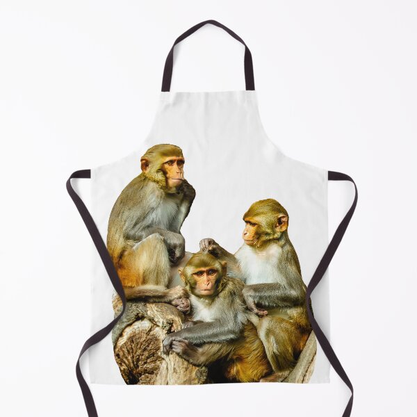 Item preview, The Three Amigos awaiting mischief designed and sold by Dalyndigital Photography.