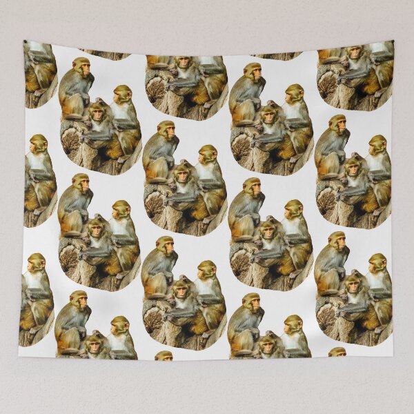 Item preview, The Three Amigos awaiting mischief designed and sold by Dalyndigital Photography.