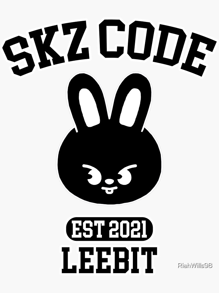 Skzoo Hoodie Set, Stray Kids Plushies, Skzoo Outfits, Skzoo