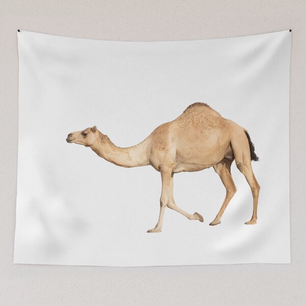 Item preview, Graceful Arabian Camel in Motion designed and sold by stedata.