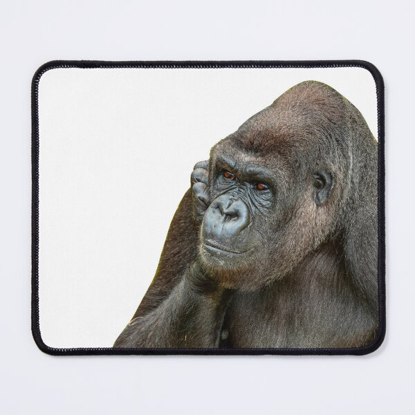 Item preview, Pondering Gorilla designed and sold by Dalyndigital Photography.