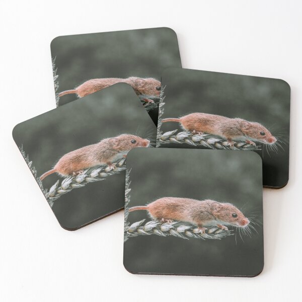 Item preview, Harvest Mouse on a stem of Barley designed and sold by Adrian Rowley.