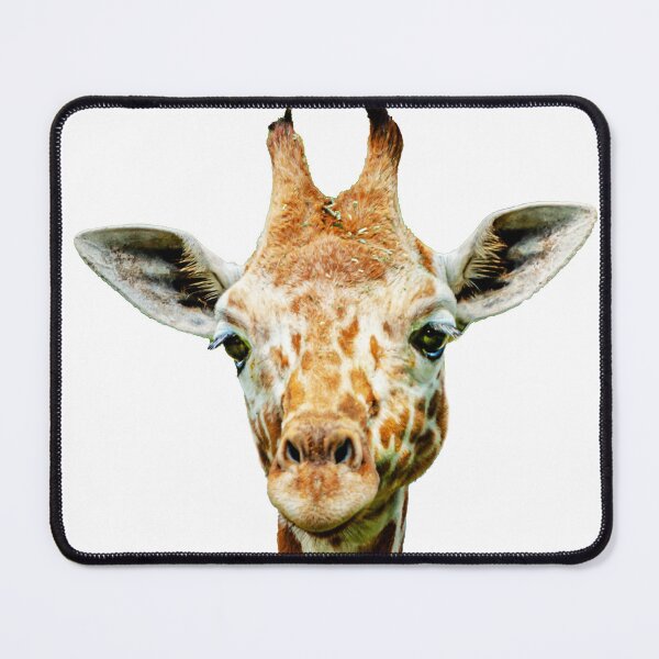 Item preview,  Giraffe looking at You designed and sold by Dalyndigital Photography.