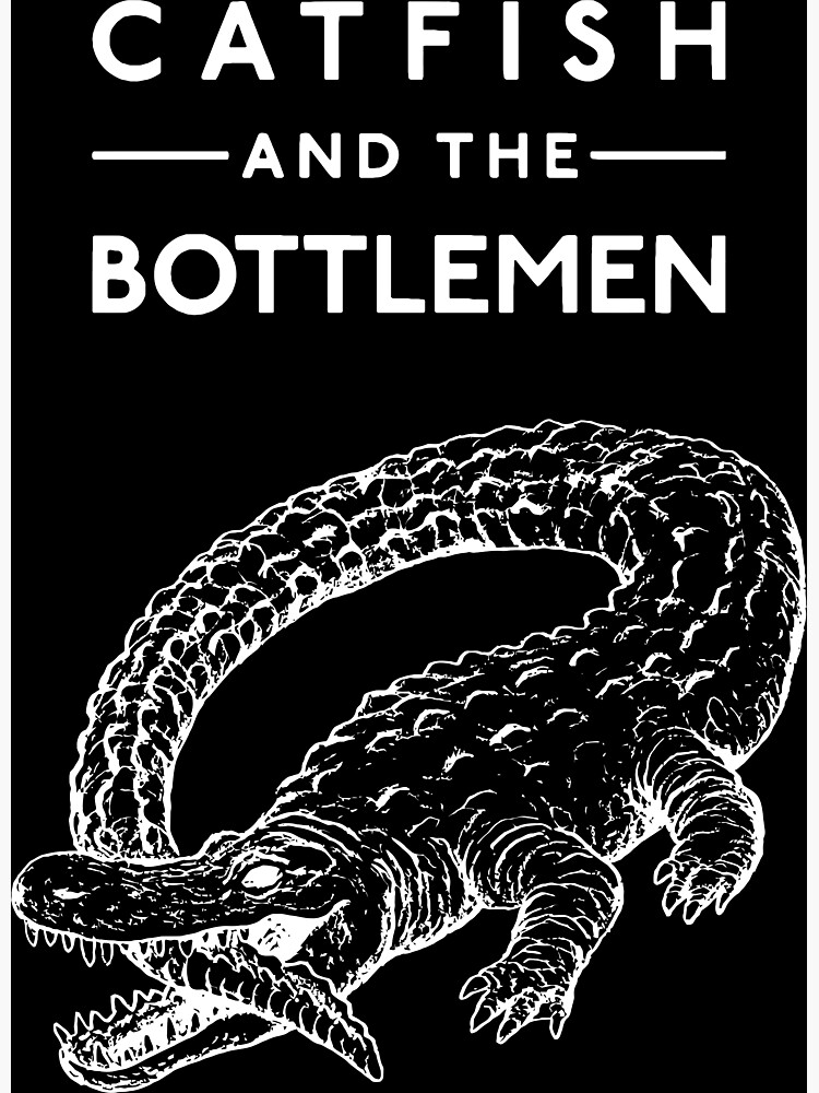 in the catfish and the bottlemen catfish and the bottlemen catfish and the bottlemen catfish and the bottlemen Poster for Sale by AndreQuinones Redbubble