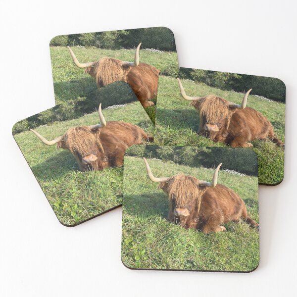 Item preview, Scottish Highland Cattle Cow 4568 designed and sold by SaarelaHighland.