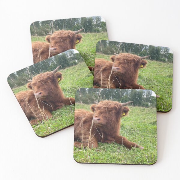 Item preview, Scottish Highland Cattle Calf 4571 designed and sold by SaarelaHighland.
