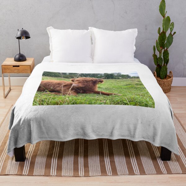 Item preview, Scottish Highland Cattle Calf 4571 designed and sold by SaarelaHighland.