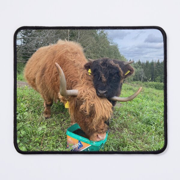 Item preview, Scottish Highland Cattle Cow and Calf 4572 designed and sold by SaarelaHighland.