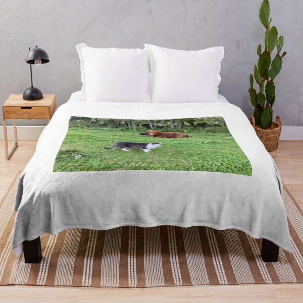 Item preview, Scottish Highland Cattle Calf and Cat 4575 designed and sold by SaarelaHighland.