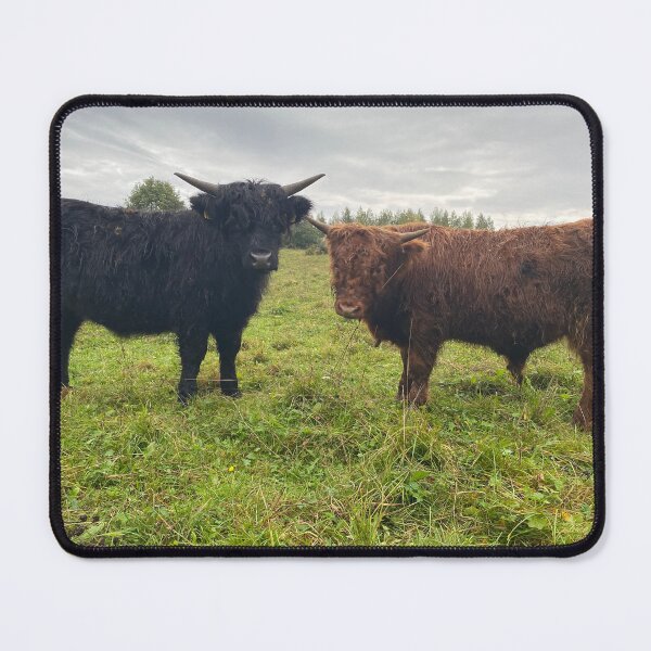 Item preview, Scottish Highland Cattle Calves 4577 designed and sold by SaarelaHighland.
