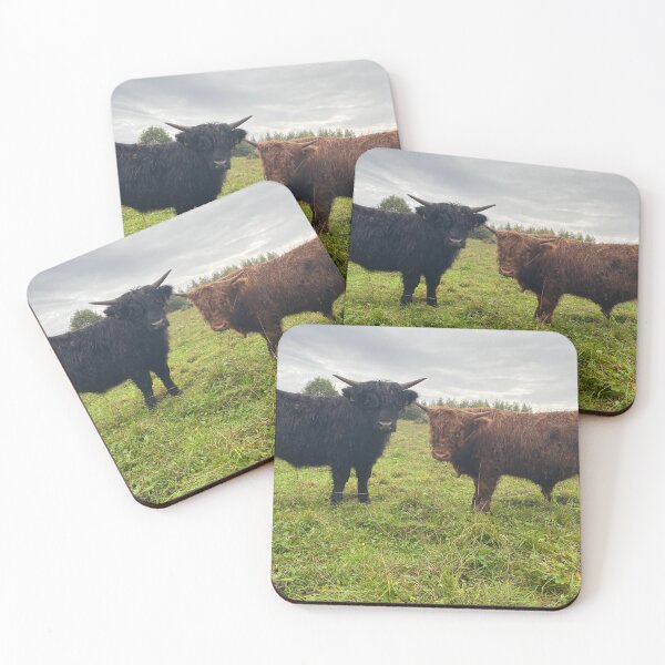 Item preview, Scottish Highland Cattle Calves 4577 designed and sold by SaarelaHighland.