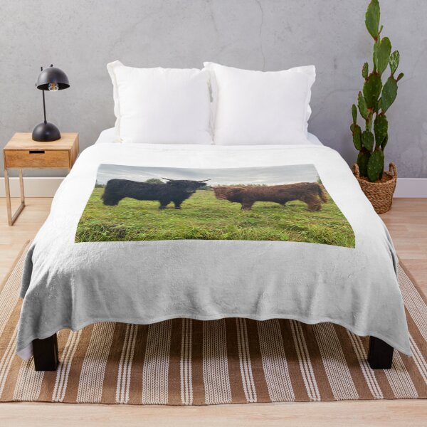Item preview, Scottish Highland Cattle Calves 4577 designed and sold by SaarelaHighland.