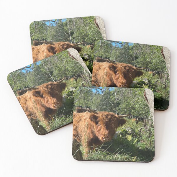 Item preview, Scottish Highland Cattle Calf 4579 designed and sold by SaarelaHighland.