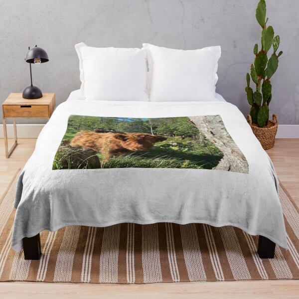 Item preview, Scottish Highland Cattle Calf 4579 designed and sold by SaarelaHighland.