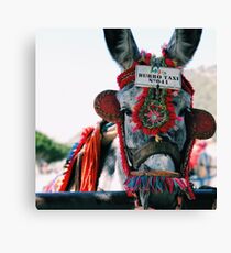 Burro Taxi Canvas Print