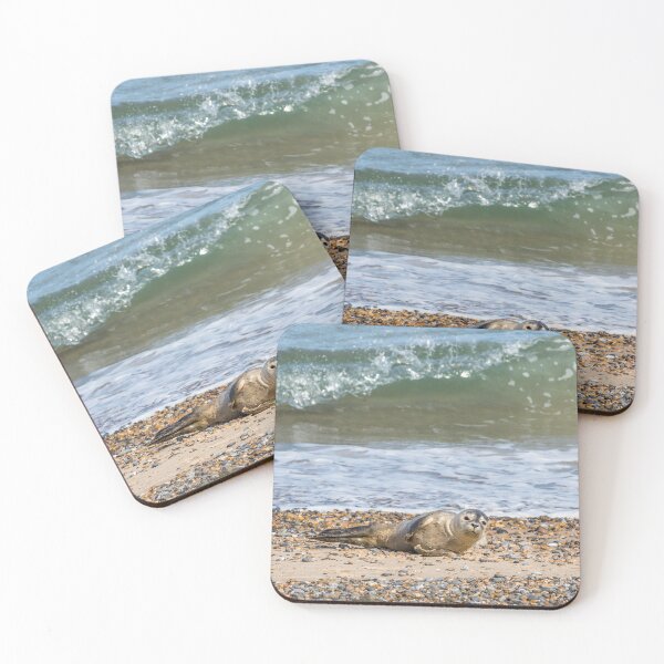 Item preview, Seal Pup on the Beach designed and sold by Jane Stanley Photography.