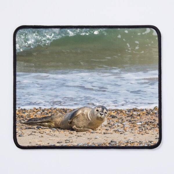 Item preview, Seal Pup on the Beach designed and sold by Jane Stanley Photography.