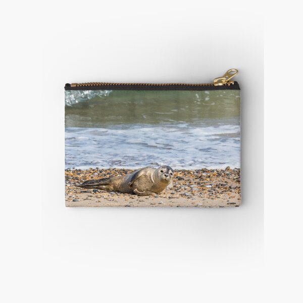 Item preview, Seal Pup on the Beach designed and sold by Jane Stanley Photography.