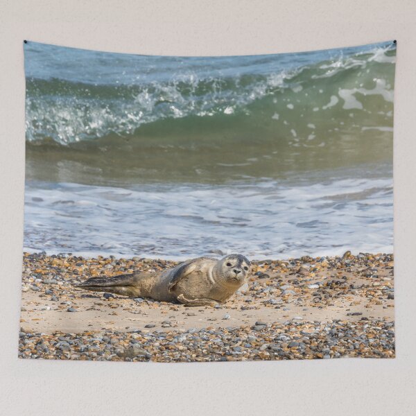 Item preview, Seal Pup on the Beach designed and sold by Jane Stanley Photography.