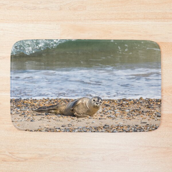 Item preview, Seal Pup on the Beach designed and sold by Jane Stanley Photography.