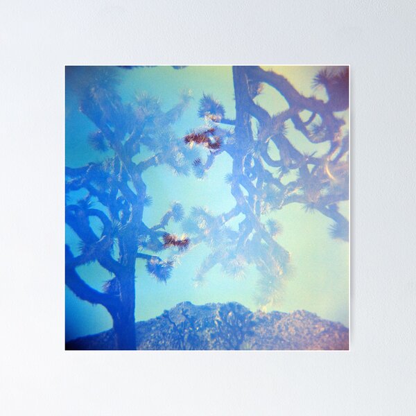 Item preview, Yucca Brevifolia, Joshua Tree, Holga Photograph, Double Exposure designed and sold by Annette Young.