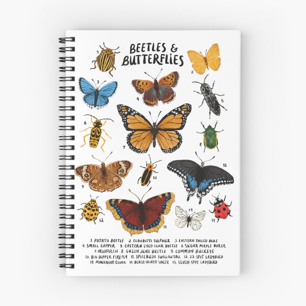 Item preview, Beetles and Butterflies designed and sold by Amy Hamilton.